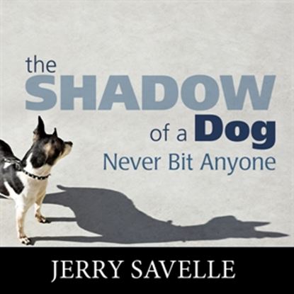 The Shadow of a Dog Never Bit Anyone